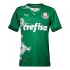 Officiële Voetbalshirt Palmeiras Special 2024 Groene - Heren